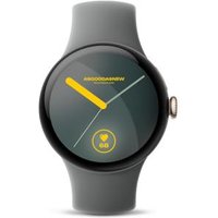 Google Pixel Watch 3 vert sauge mate 45mm Correa ...