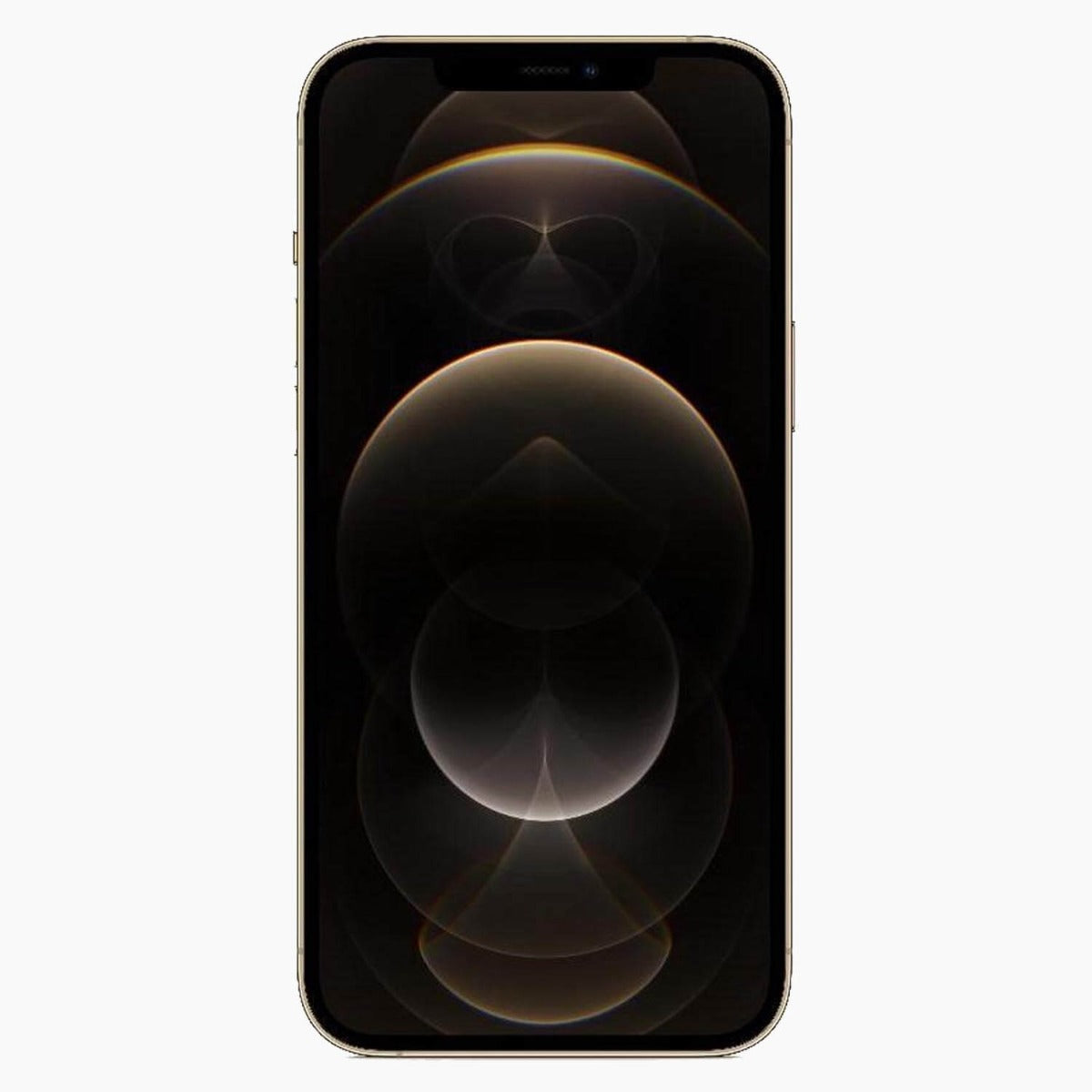 De iPhone 12 Pro Max 128 GB in het kort: ...