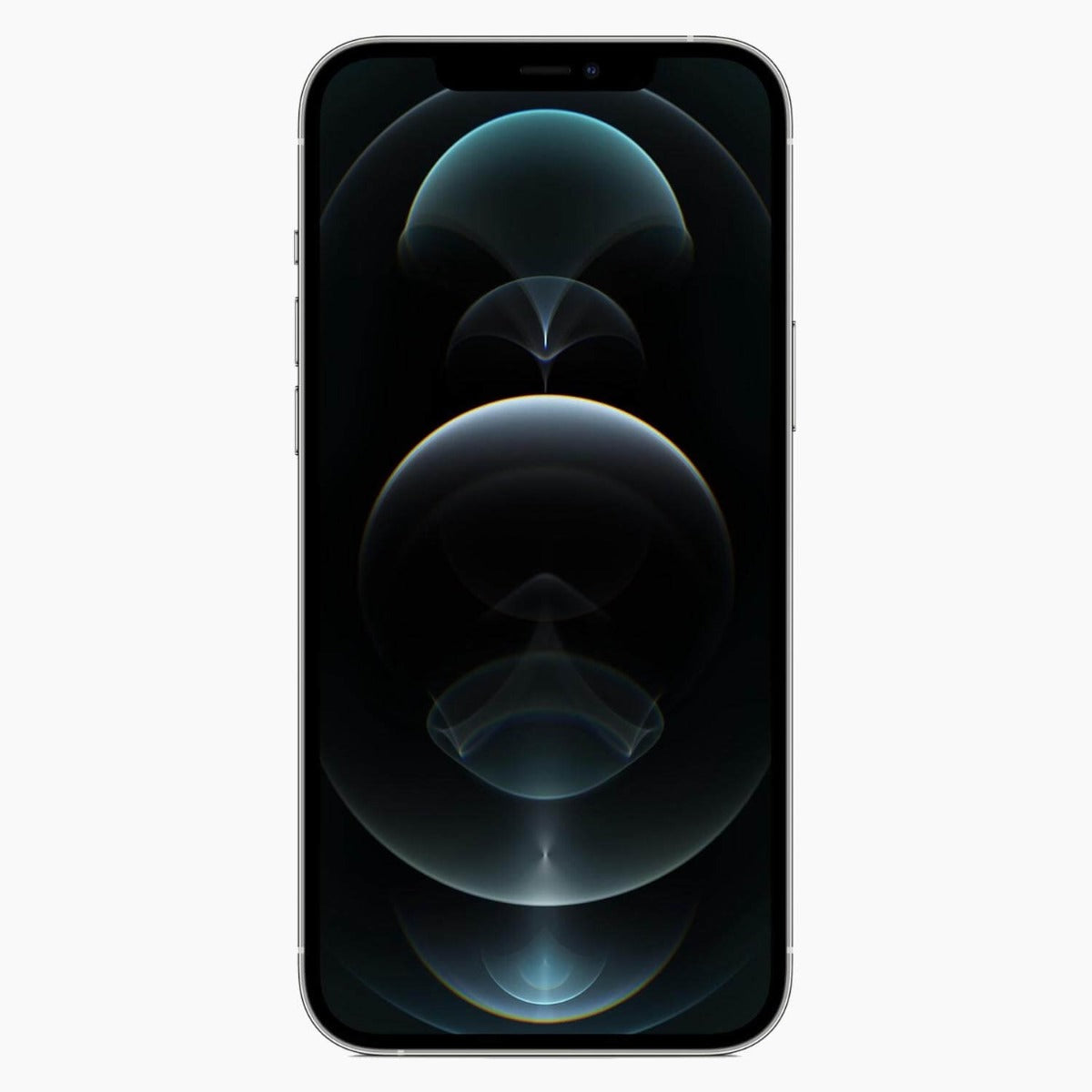 De iPhone 12 Pro Max 256 GB in het kort: ...